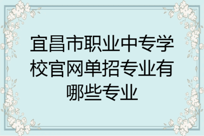 宜昌市职业中专学校软件开发单招专业解析